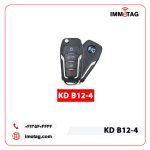 B12 4 1
