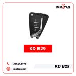 B29